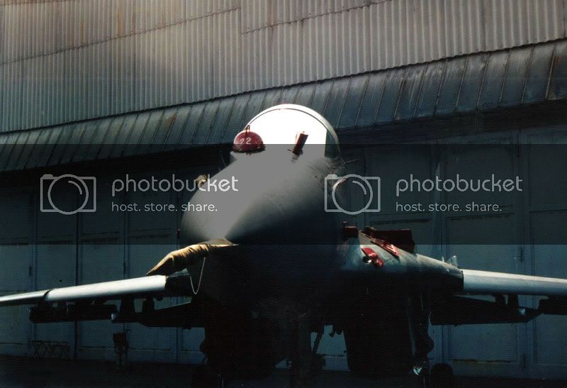 mig29stand2dy4.jpg