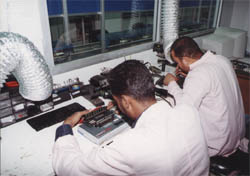 p4.jpg