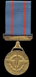 MilitaryMedalOfDuty02.jpg