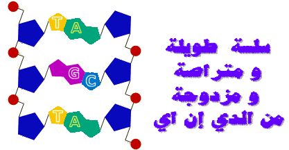 dna6.gif