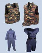 fig9.jpg