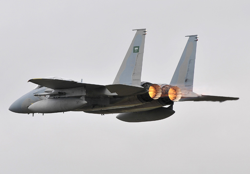 SAOUDIENS%20DIJ%20site-DSC1802-f15-pc.jpg