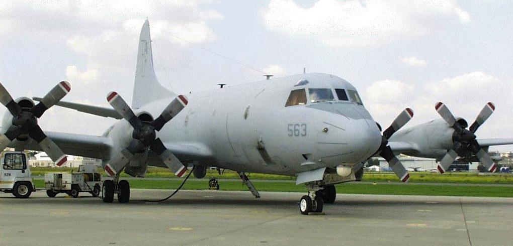 p-3-eaglep33.jpg