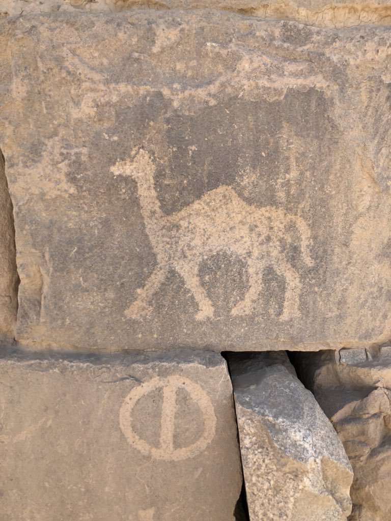 Dw9AR7FUYAcl0T6.jpg