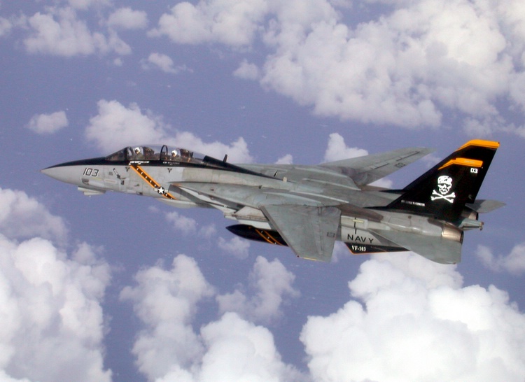 f-14_14.jpg