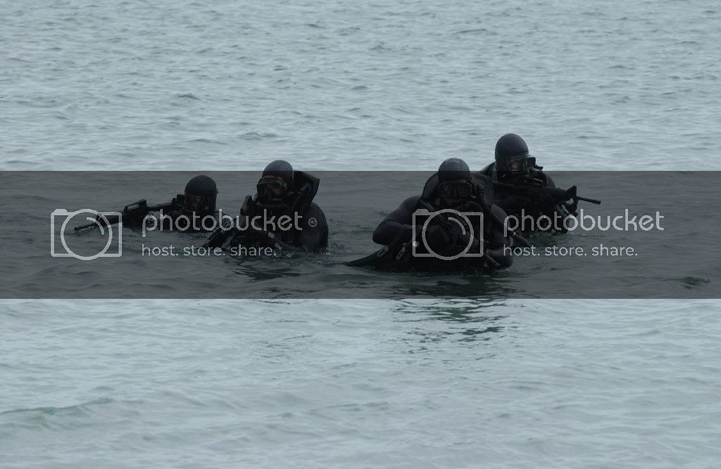 sealdivers1mo5hu5gd9.jpg