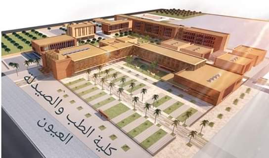 Image result for ‫المدينة الاستشفائية العيون‬‎