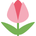 1f337.png
