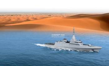 DCNS-IDEX.jpg