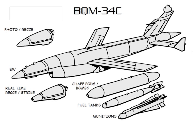 avucav-02.jpg