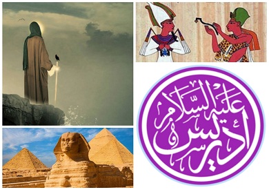 www.shorouknews.com