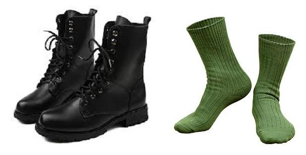 Sock.Shos.1.JPG
