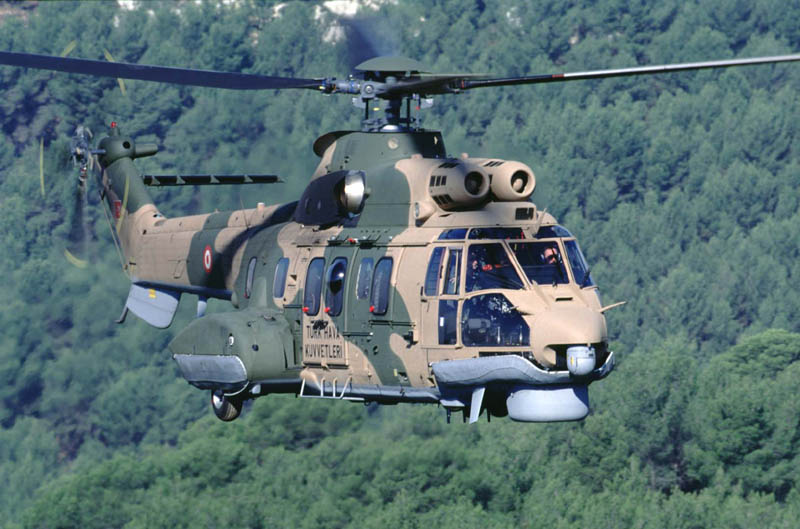 cougar-1B.jpg