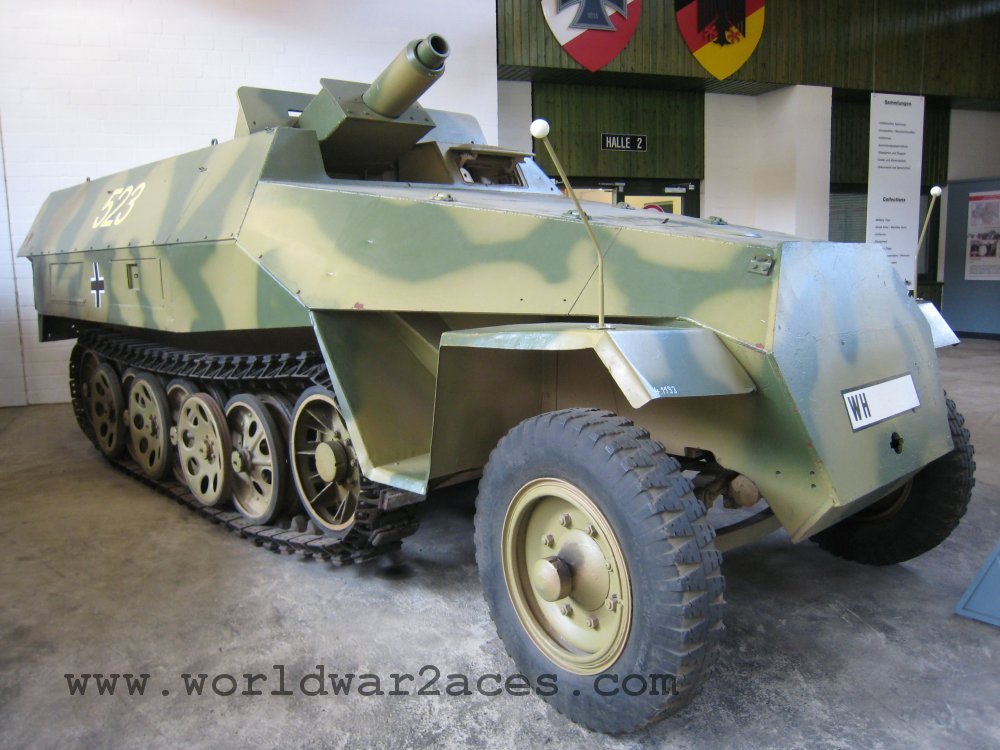 sdkfz251-9-1323.jpg