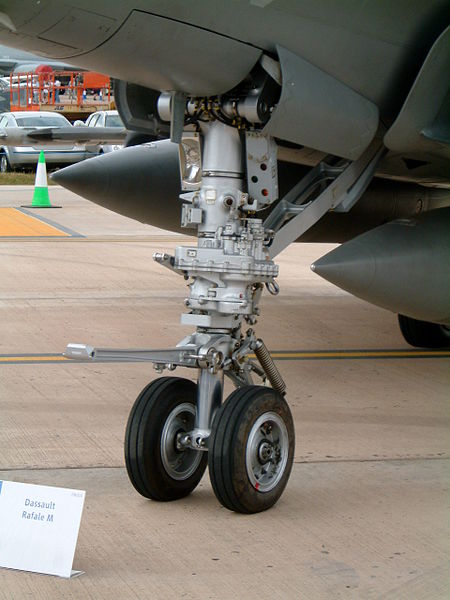 450px-Nice_leg.jpg