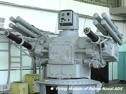 articlePalma1en_m(1).gif