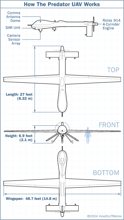 predator-diagram.gif