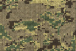 KA2-Customs-cloth_small.jpg