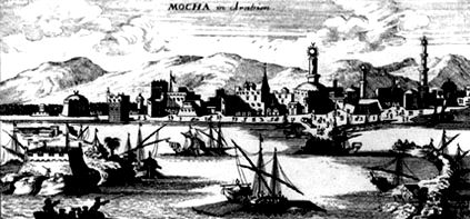 Mocha1692.jpg