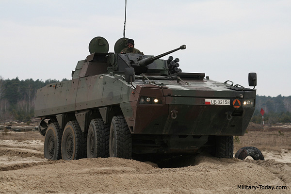 rosomak.jpg