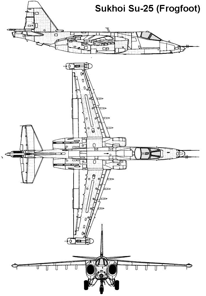 su25_1_3v.jpg