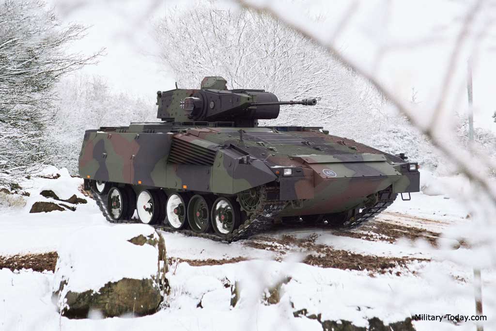 puma_ifv_l8.jpg