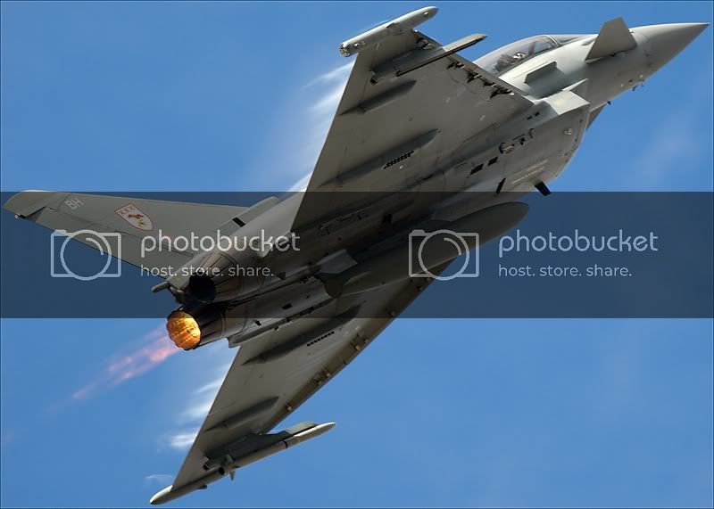 DSC_0072TYPHOON.jpg