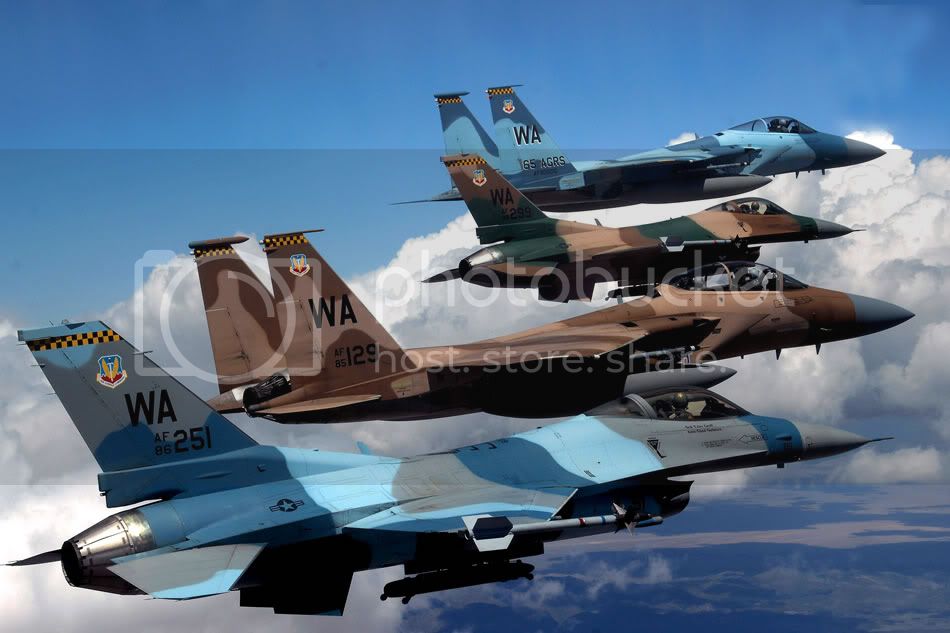 aggressor-squadron-3.jpg