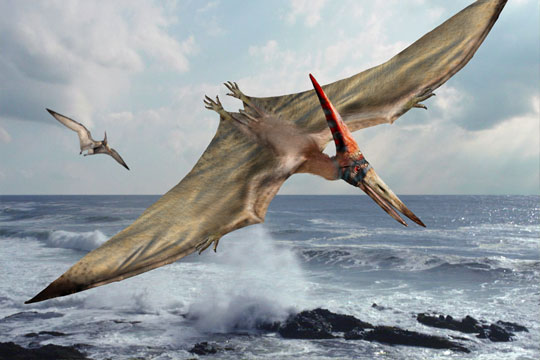 pteranodon.jpg