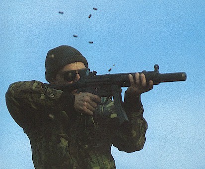 mp5sdcamo.jpg