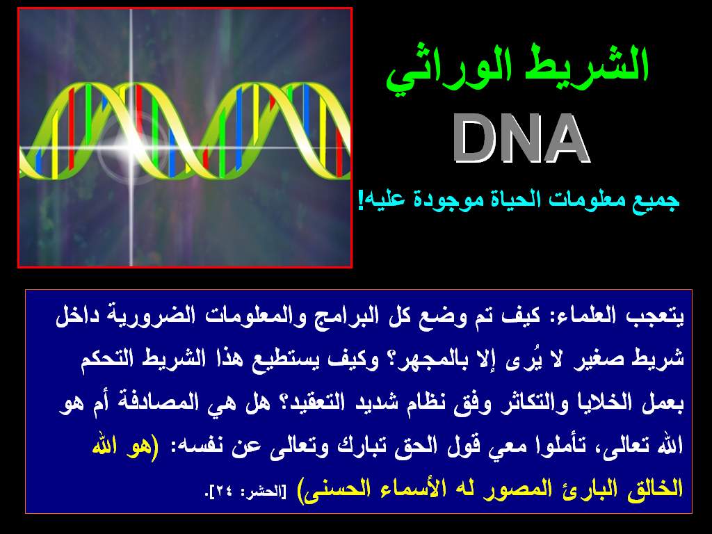 dna_2121454.JPG