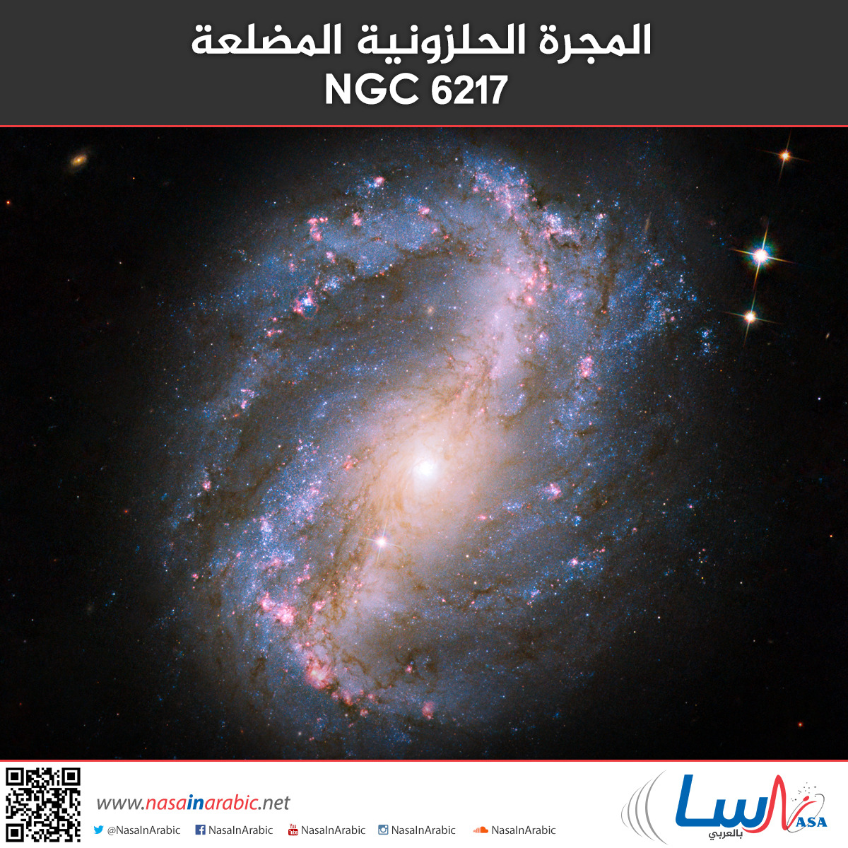45bb62ae72aa9c4e143abcc44d378277.jpg