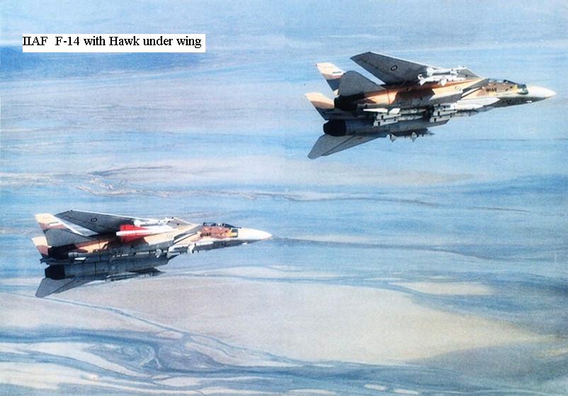 f_14__caring_hawk_missle.jpg