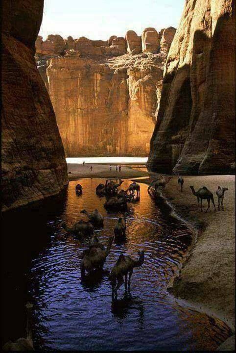 Algerie Sahara