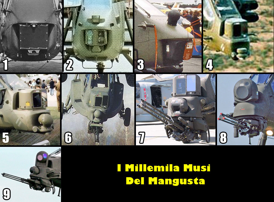 A129_Mangusta_172_tutti_i_musi.jpg