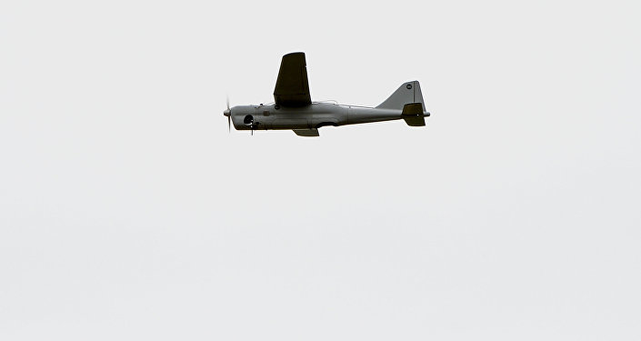 1020507646.jpg
