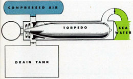 fig006.jpg