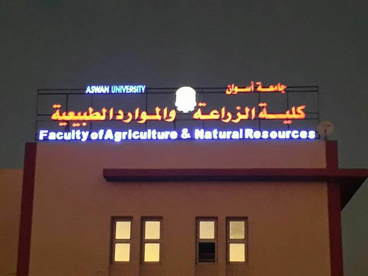 www.masrawy.com