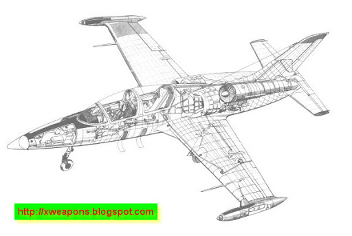 l-39_frame.jpg