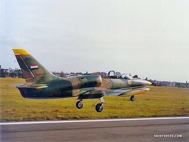 L-39C_Yemen-AF-0010.jpg