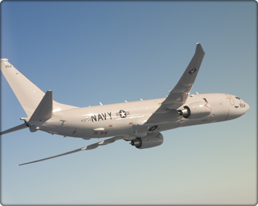 P8-A_index.jpg