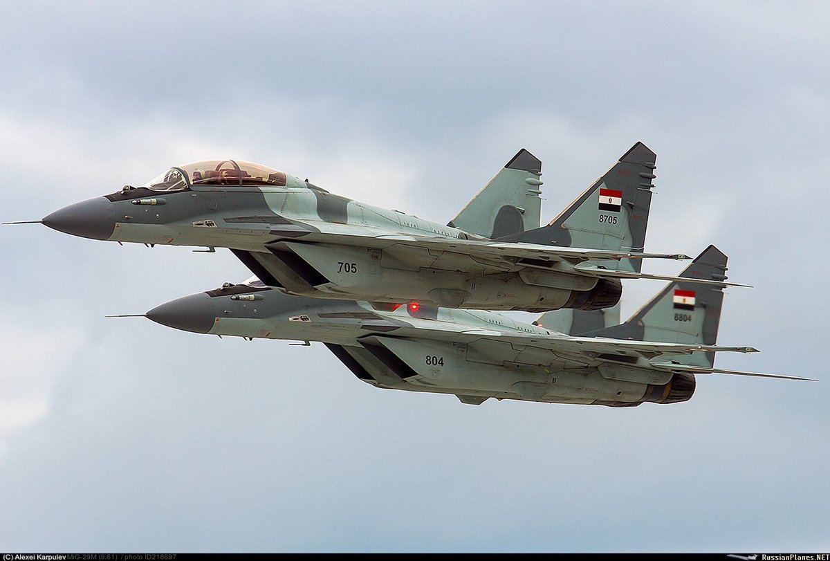 EAF-MiG-29M2-with-the-final-camo.jpg