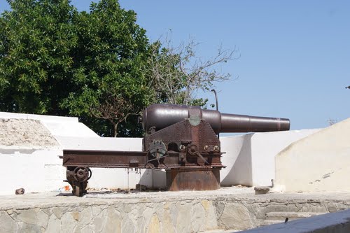 41321728.jpg