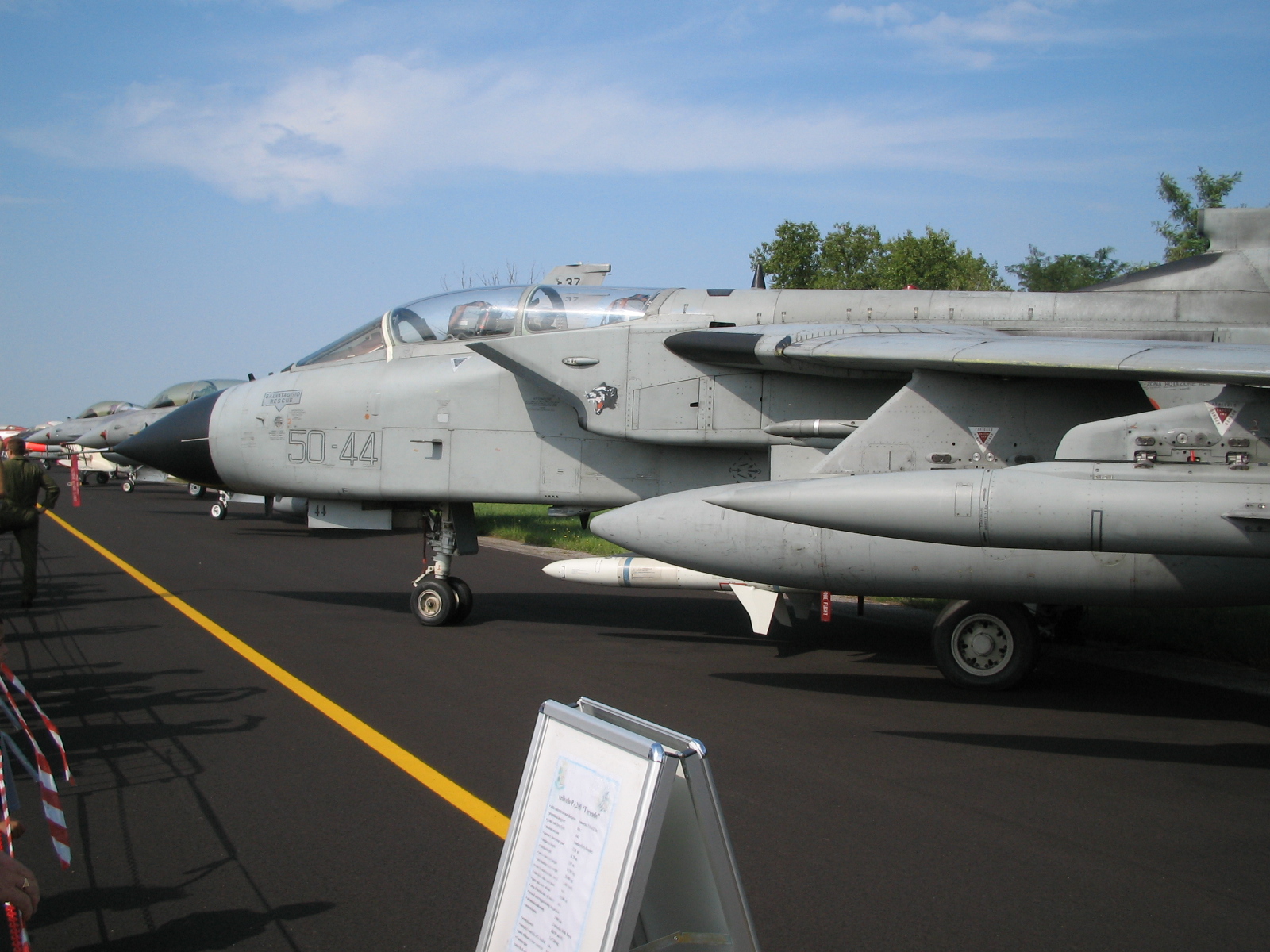 Italian_Air_Force_Panavia_Tornado_ECR.JPG