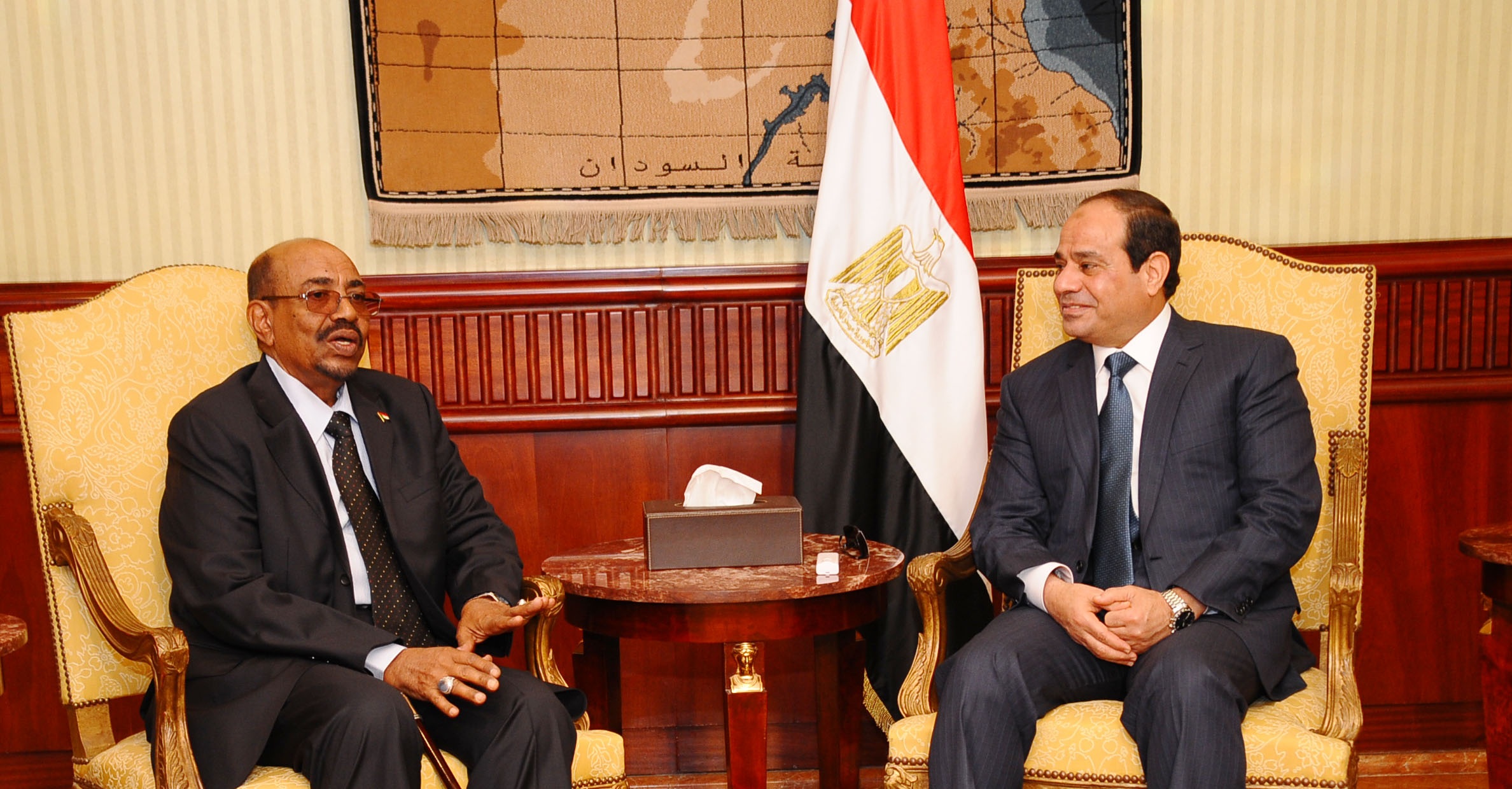 -سيسي.jpg