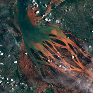 browser.dataspace.copernicus.eu