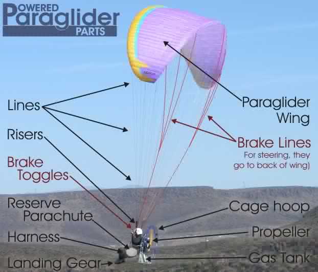 c296d2f4d7.jpg