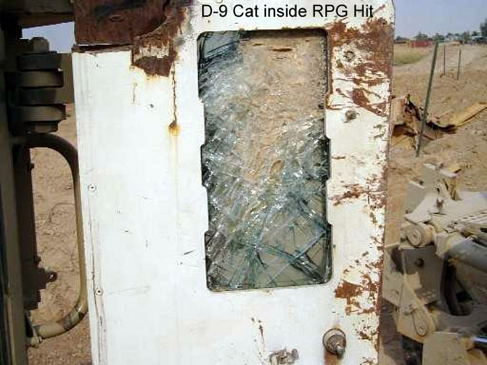 d9_cat_3.jpg