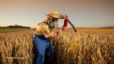 farmer-gas-mask-insecticide-pesticide-wheat-field-crops-funny-400x225.jpg