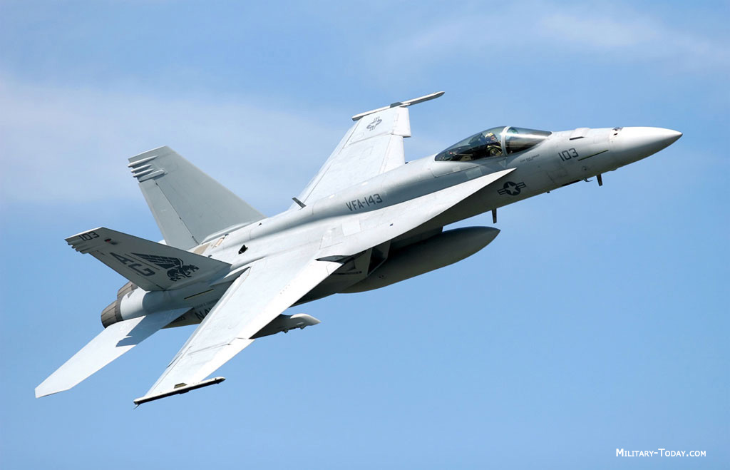 fa_18_ef_super_hornet_l1.jpg